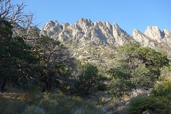 Organ Mountains-Desert Peaks National Monument-拉斯克鲁塞斯必去景点