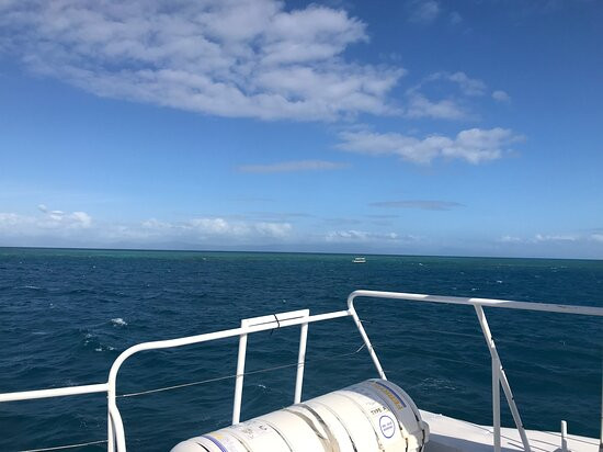 Cairns Premier Reef & Island Tours景点图片