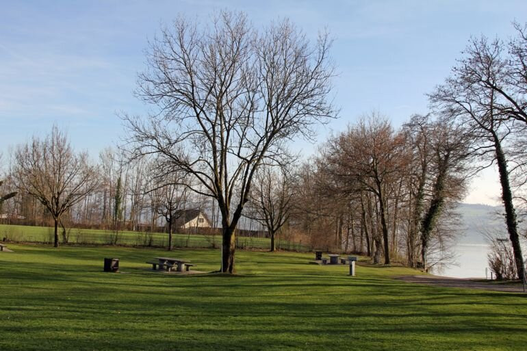 Badi - Seepark Schenkon - Bootssteg-Schenkon必去景点