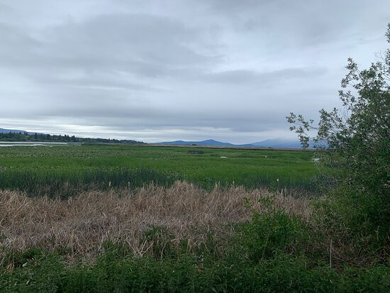 Wood River Wetland-克拉马斯福尔斯必去景点