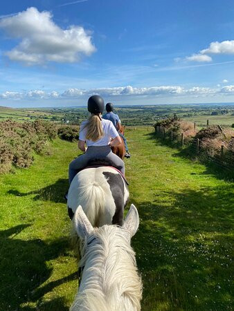 Preseli Pony Trekking-Mynachlogddu必去景点