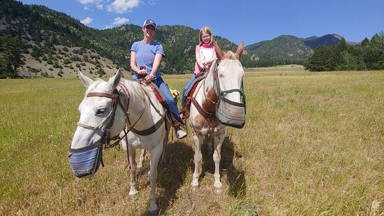 Bear Paw Outfitters-利文斯顿必去景点