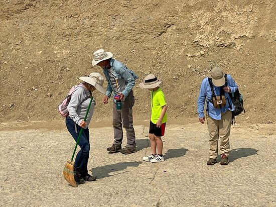 Red Gulch Dinosaur Tracksite-Greybull必去景点