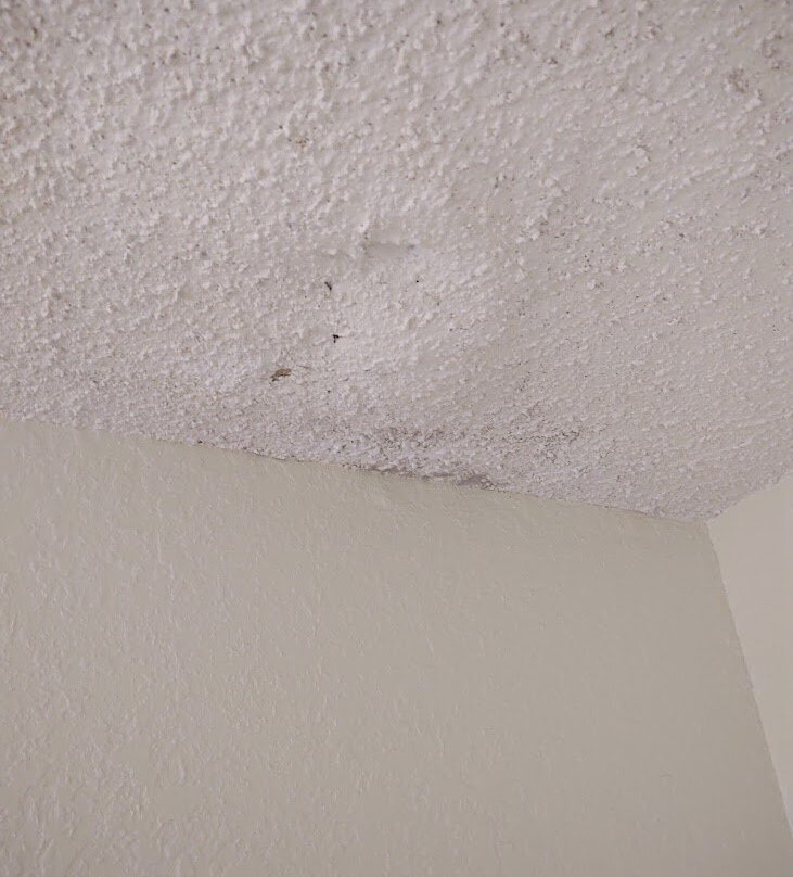 Super 8 by Wyndham Augusta主图