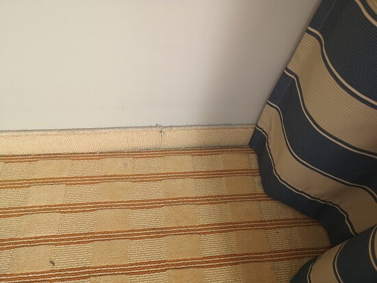 艾美拉弗斯布里特酒店主图