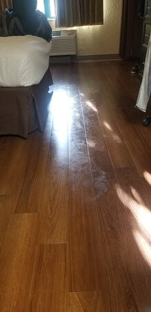 Extended Stay America - Tampa - North - USF - Attractions主图