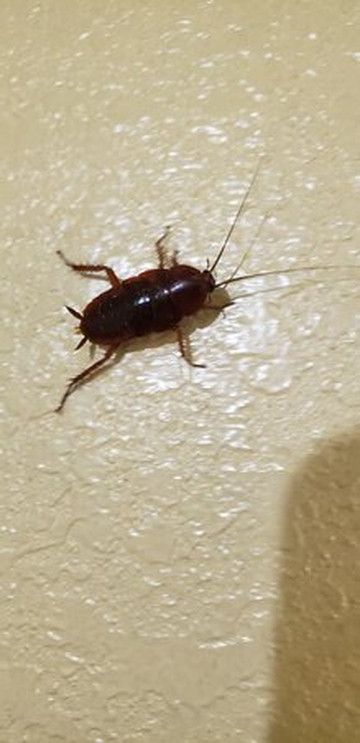 Days Inn by Wyndham Canton主图