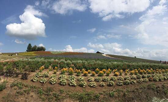 Kanno Firm-上富良野町必去景点
