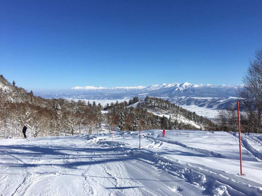 富良野滑雪场
