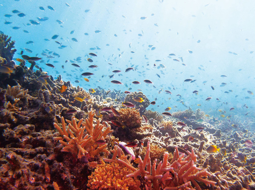 Iriomote-Ishigaki National Park-八重山郡必去景点