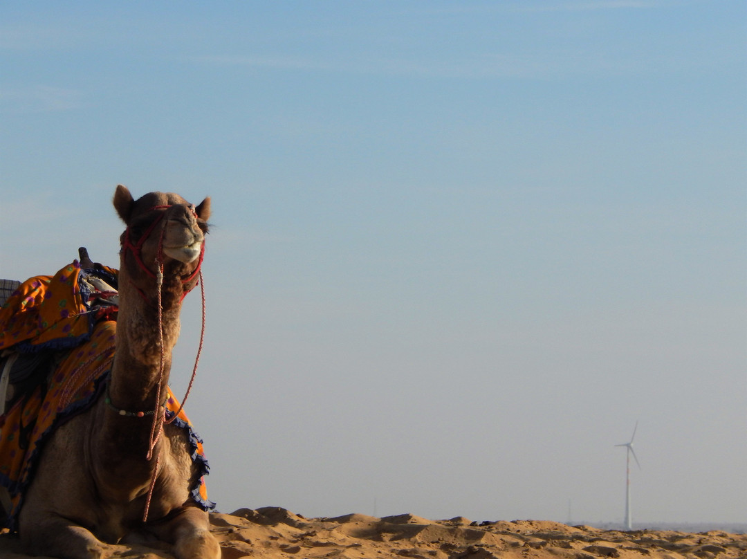 Vijay India Tours-Jhotwara必去景点