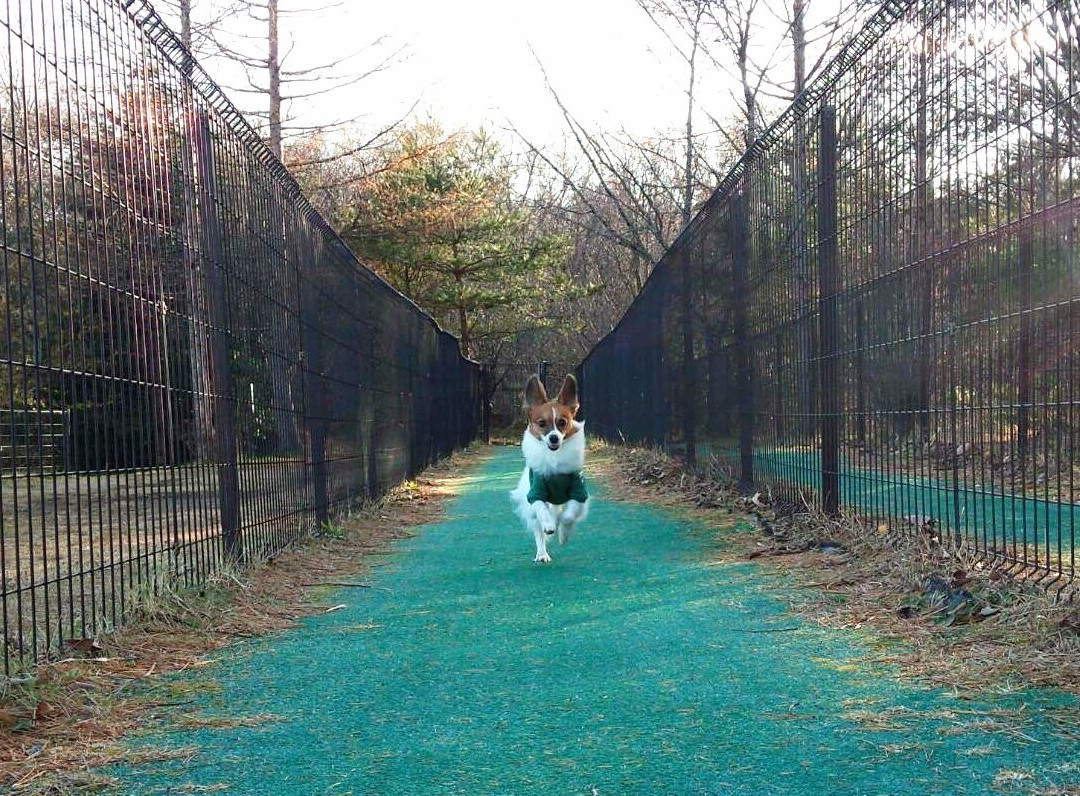 岩濑郡旅游攻略图片