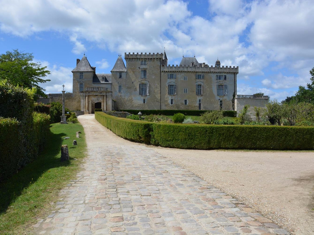Chateau de Vayres景点图片
