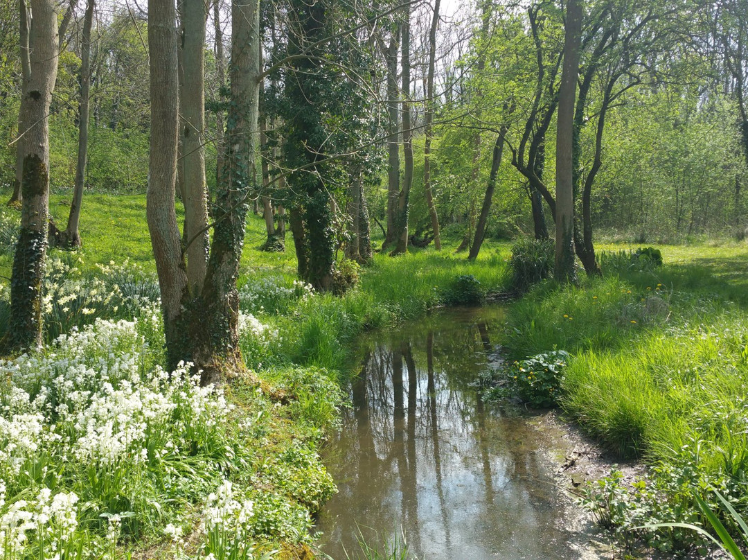 Evenley旅游攻略图片