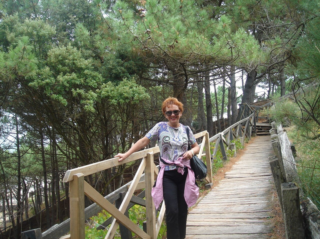 Office de Tourisme d'Arcachon景点图片