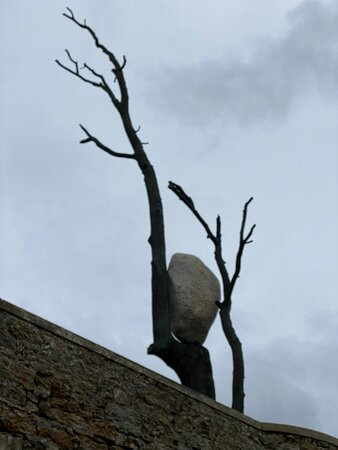Arbre Monumental-迪纳尔必去景点
