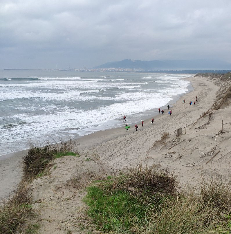 Acrobatic Wave School-维亚纳堡必去景点