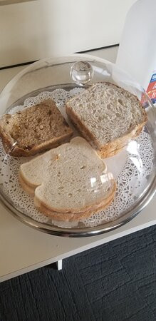 Tweed Harbour Motor Inn主图