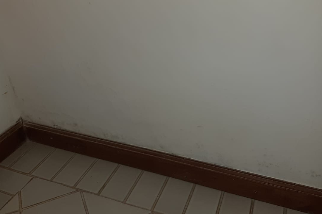 Samba Angra Dos Reis主图