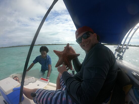 High Wave Tours-普罗维登西亚莱斯必去景点