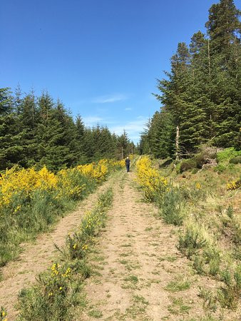 Nine Stanes Stone Circle-Banchory必去景点