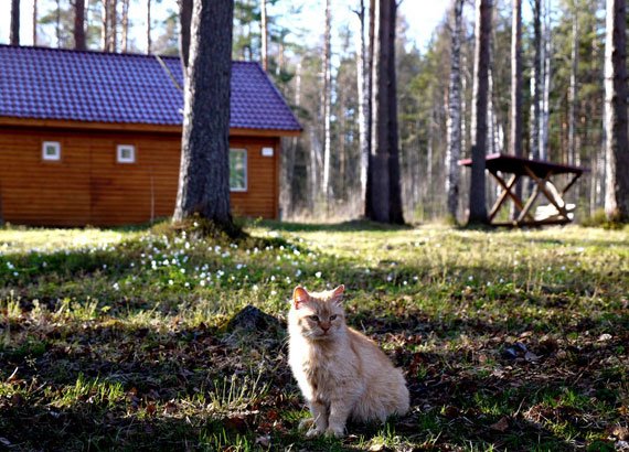 Base Otdykha Yunost-官方
