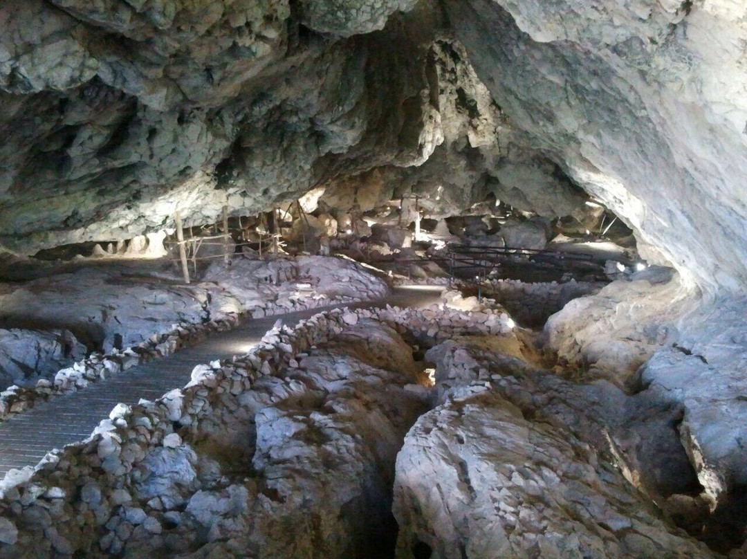 Cuevas de Pinar景点图片