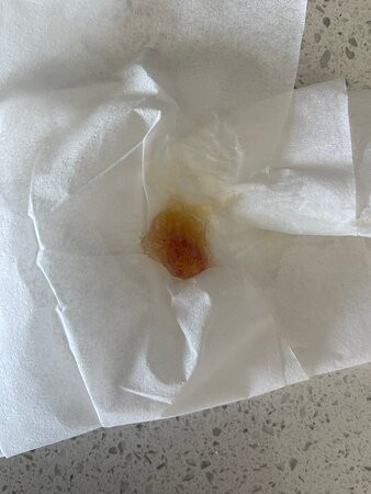 法兰克福机场喜来登酒店及会议中心主图