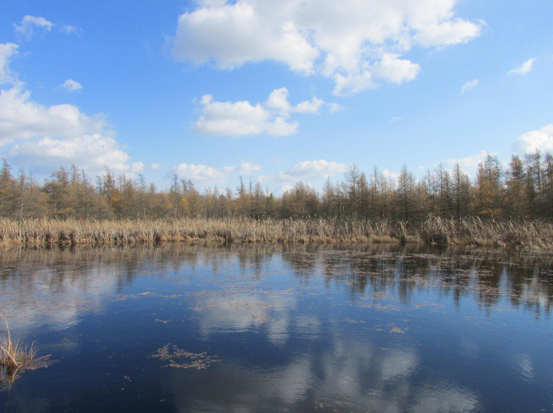 Volo Bog State Natural Area景点图片