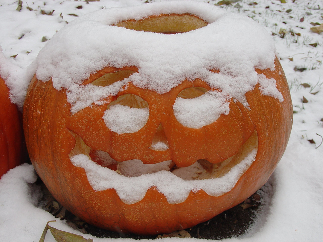 Canby旅游攻略图片