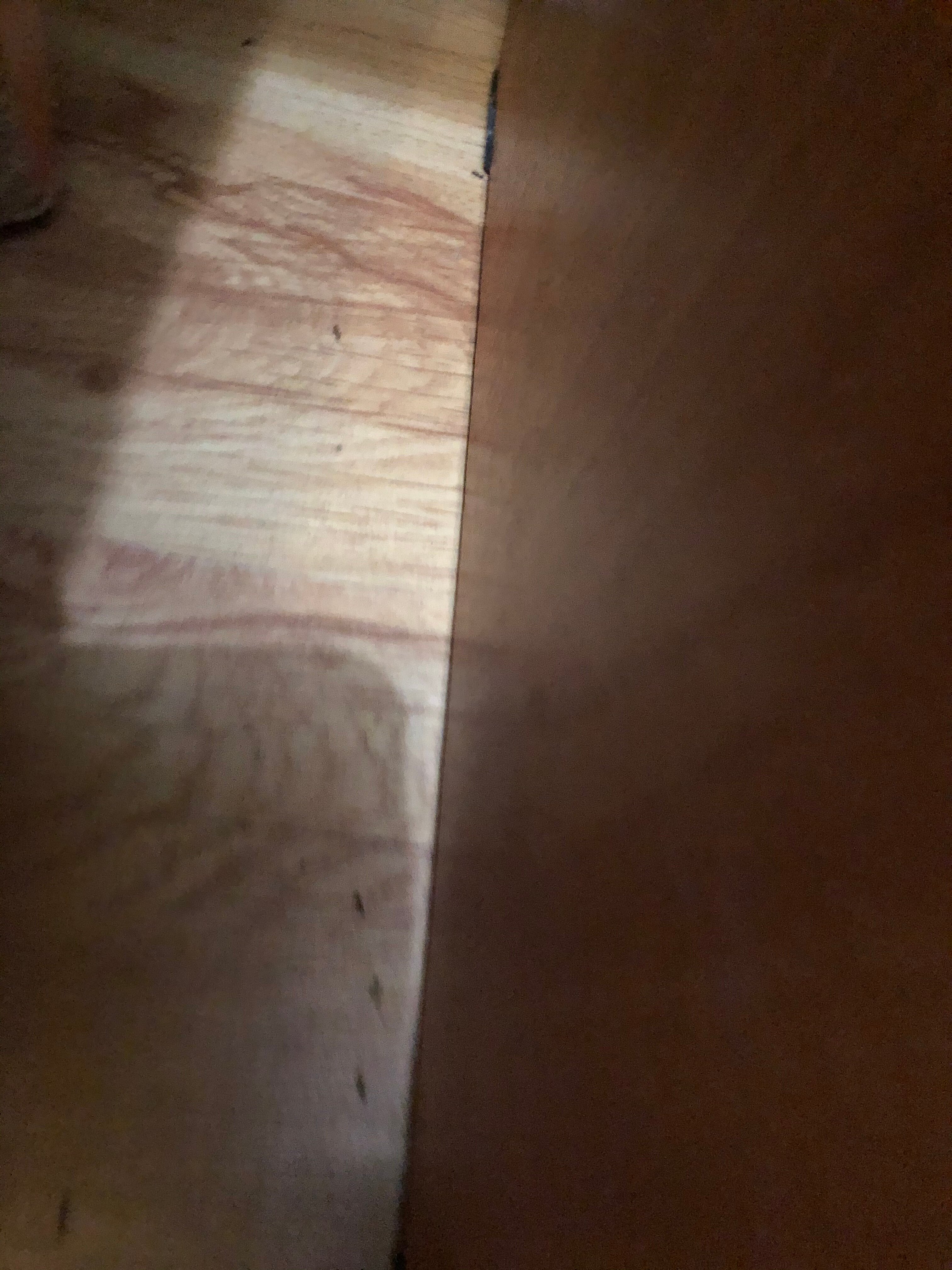 ANI na Severnoy-官方