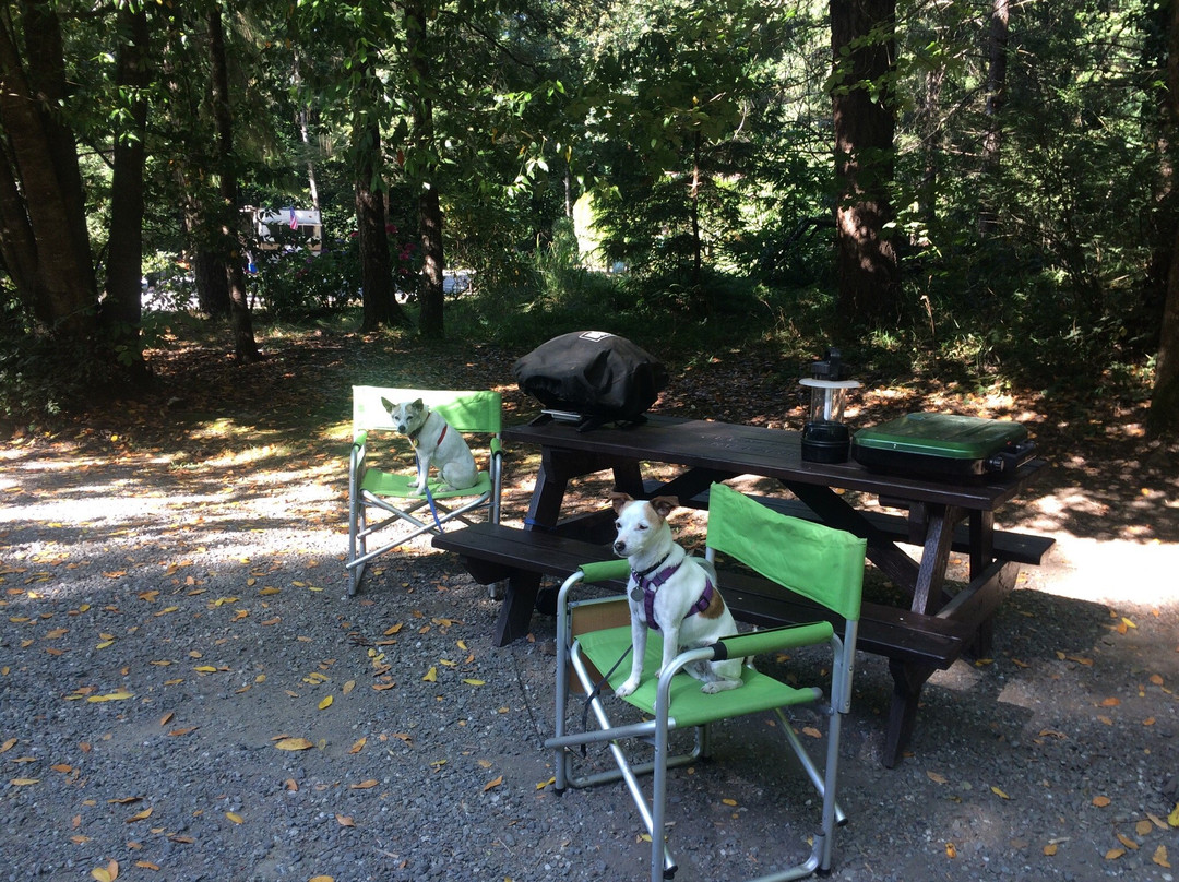 Secret Camp RV Park
