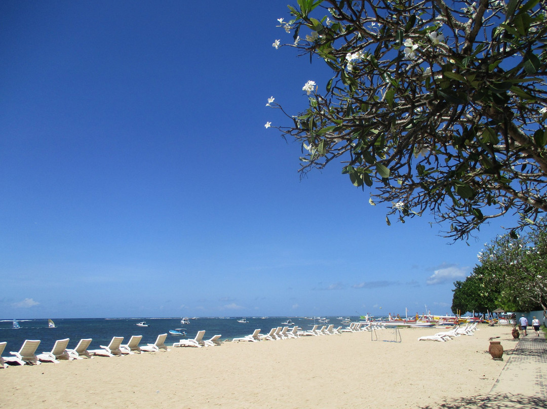 Sindhu Beach景点图片