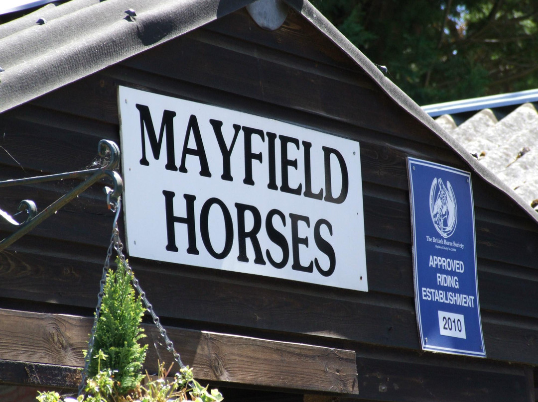Mayfield Horse Riding Stables景点图片