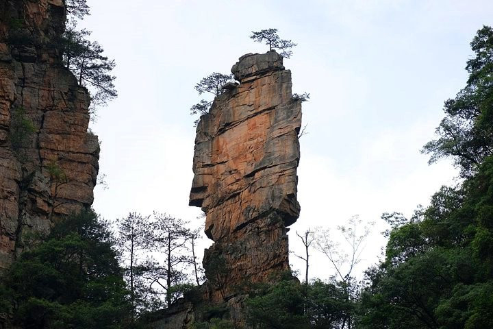 China Toruk Tour