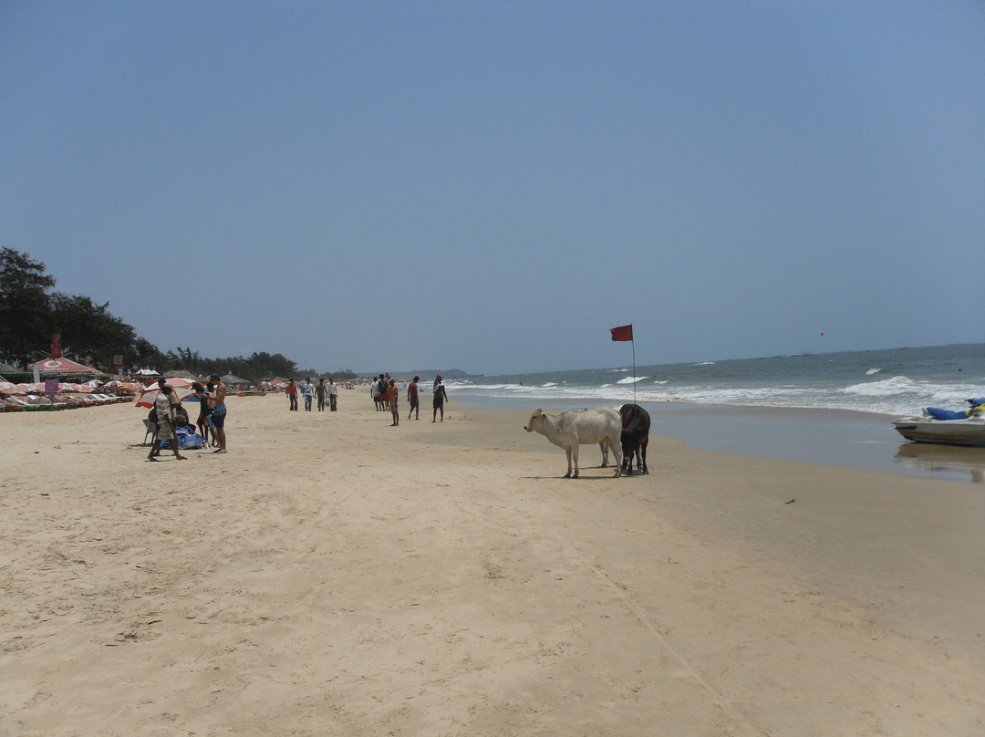 Baga Beach景点图片