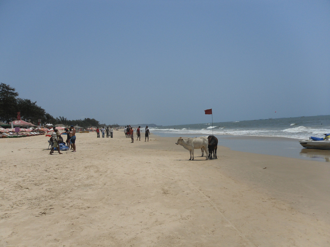 Baga Beach-巴格海滩必去景点