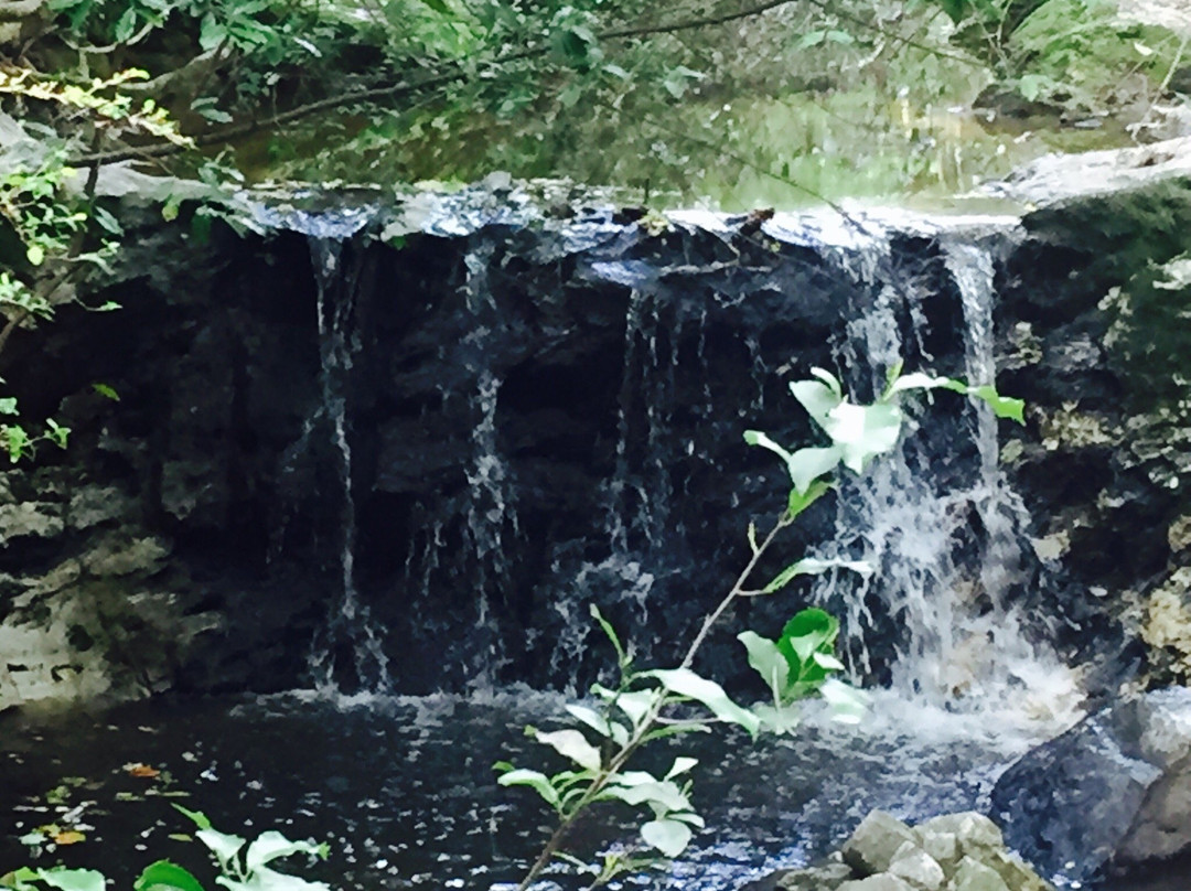 Pelion旅游景点-Virginia Hylton Park