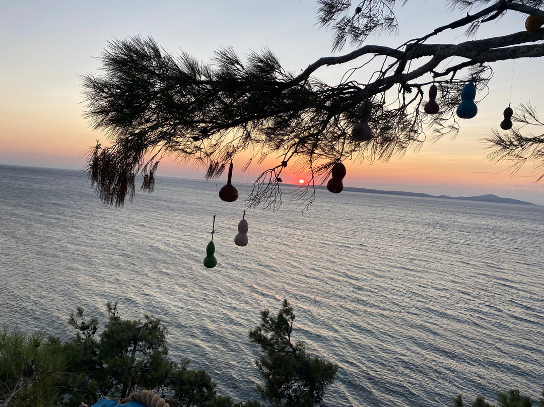 makara et ve Balık