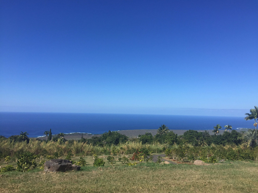 Pele Plantations-卡慕也拉必去景点