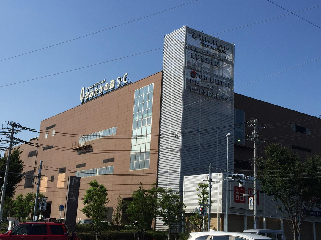 Nagareyama Otakanomori S･C