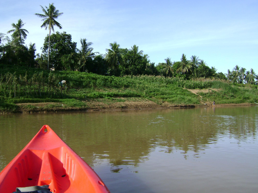 Green Orange Kayaks景点图片