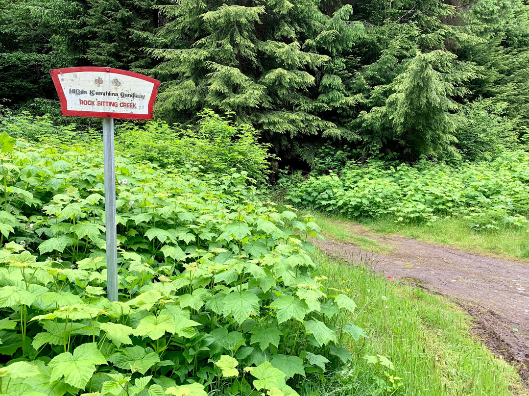 Rock Sitting Creek Waterfall