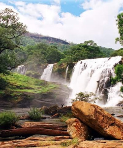 Thoovanam Falls景点门票图片
