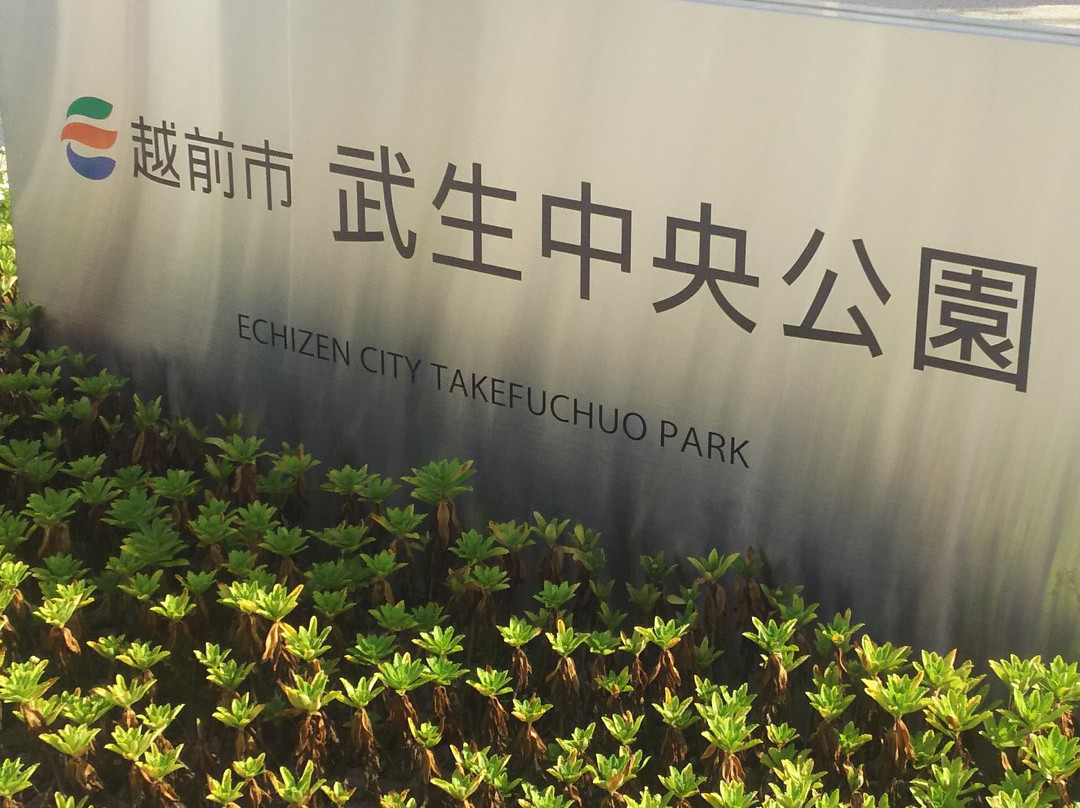 Takefu Chuo Park景点图片
