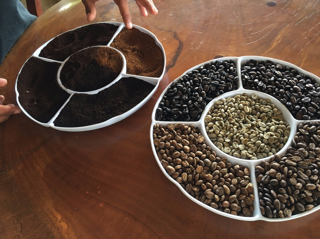 Diriá Coffee Tour景点图片