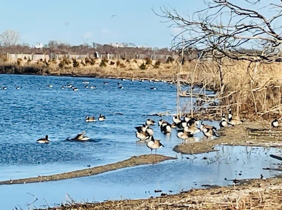 Jamaica Bay Wildlife Refuge Vstr. Cntr. - Gateway National Recreation Area-Far Rockaway必去景点
