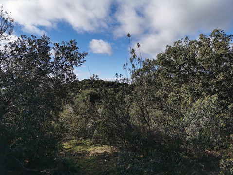 Monte Cuesta Blanca-Galapagar必去景点