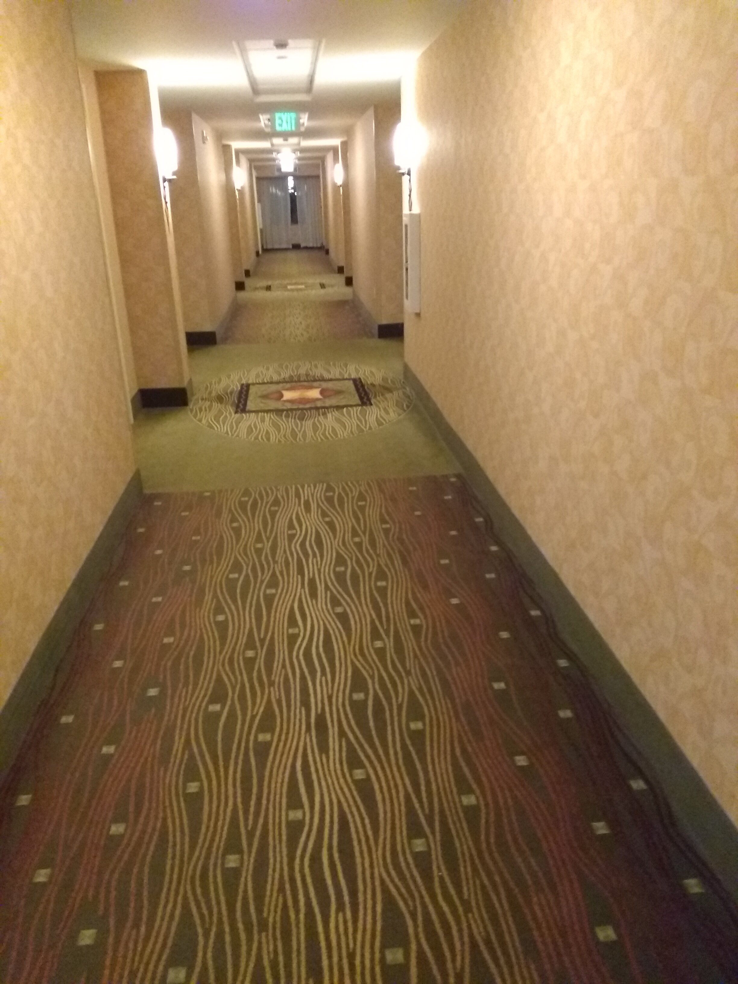 伊利希尔顿花园酒店-酒店景观