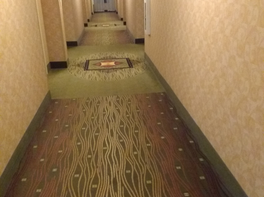 伊利希尔顿花园酒店主图